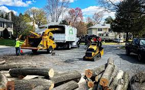 Best Leaf Removal  in La Palma, CA