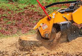 Best Tree Maintenance Programs  in La Palma, CA